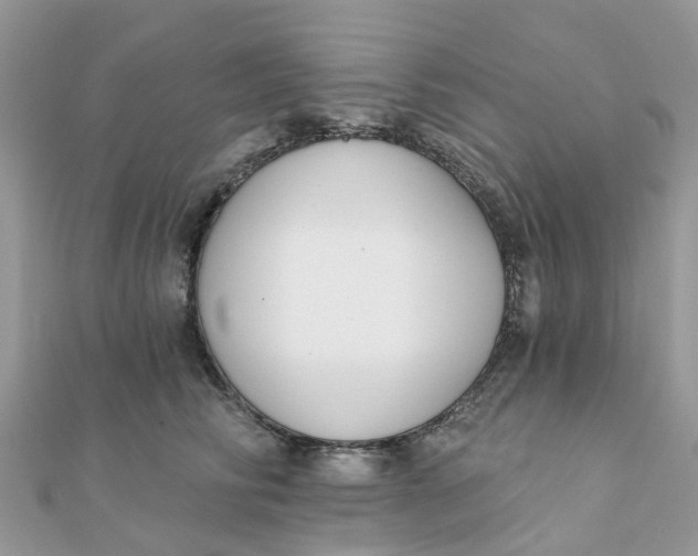 X0000111890710200908131655