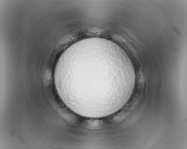 X0000111890711200908131655