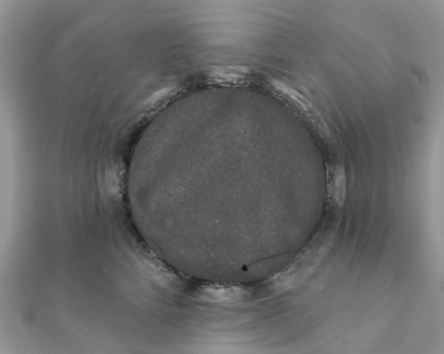 X0000111890712200908131654