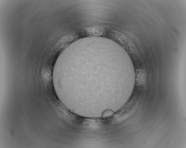 X0000111890713200908131654