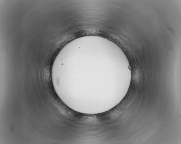 X0000111890715200908131654