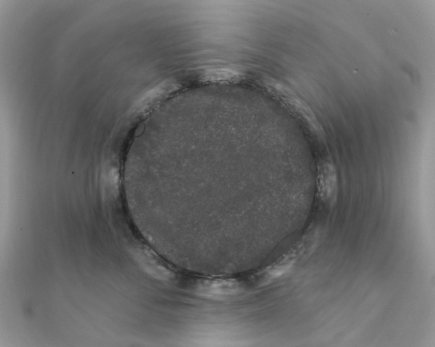 X0000111890716200908131654