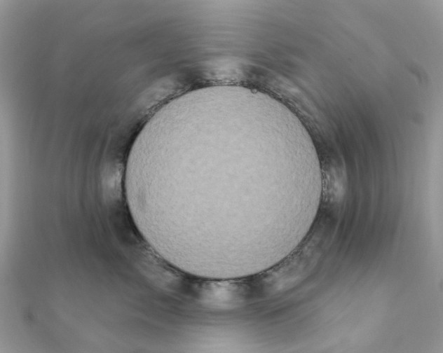 X0000111890717200908131654