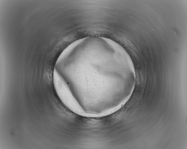 X0000111890718200908131654