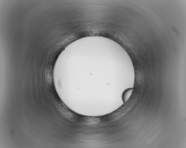 X0000111890719200908131654