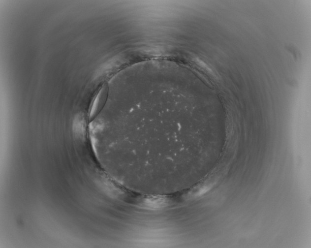 X0000111890720200908131654