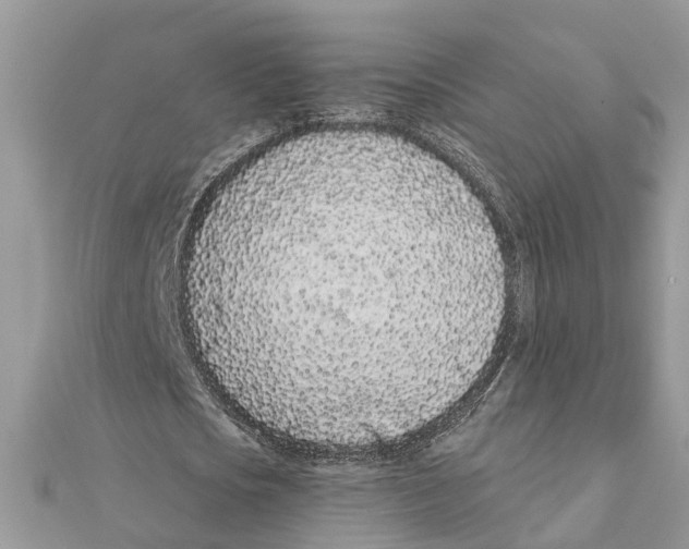 X0000111890721200908131654