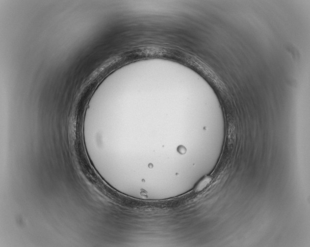 X0000111890722200908131654