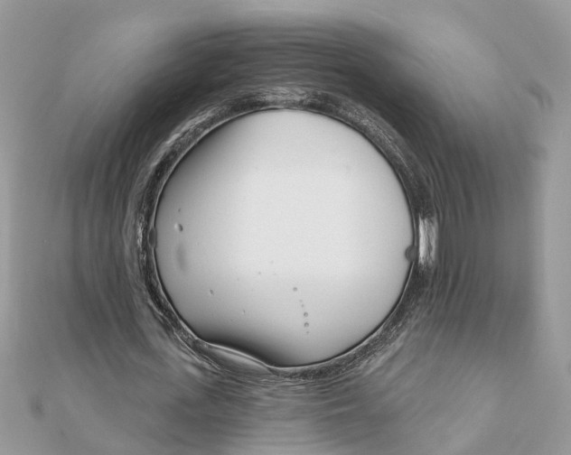 X0000111890723200908131654