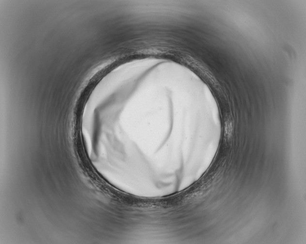 X0000111890724200908131654