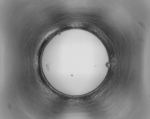 X0000111890727200908131654