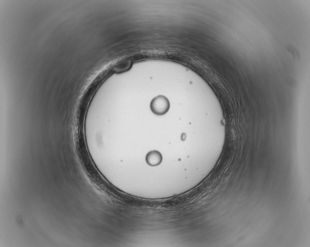 X0000111890728200908131654