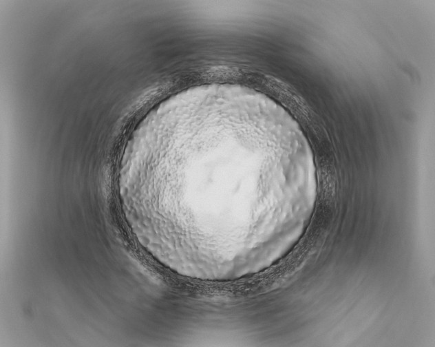 X0000111890729200908131654