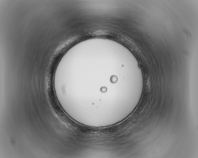 X0000111890732200908131654