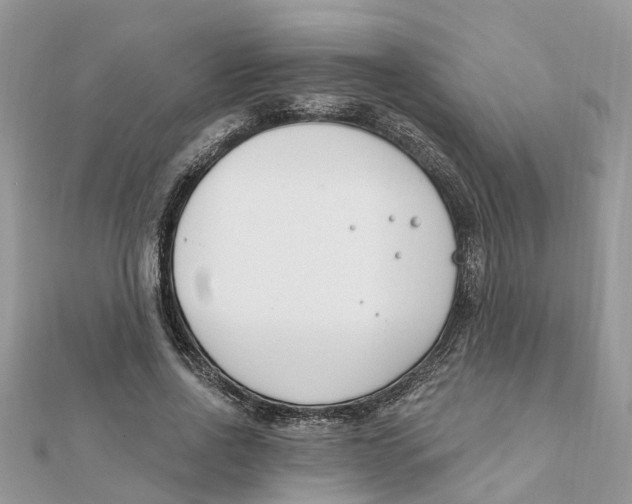 X0000111890734200908131654