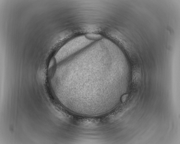 X0000111890736200908131654