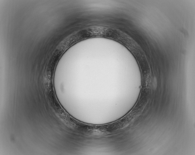 X0000111890737200908131654