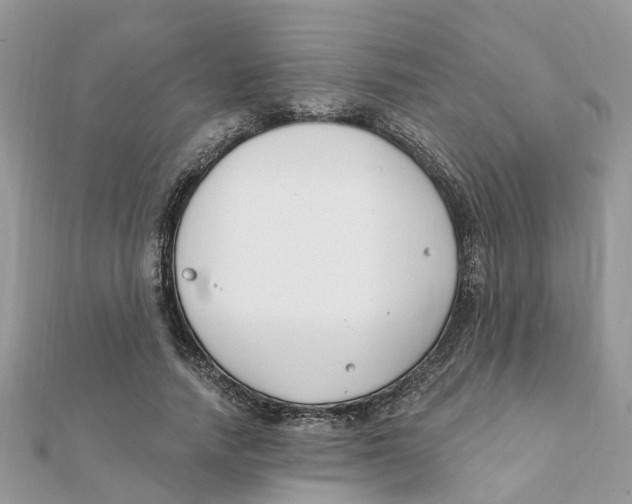 X0000111890738200908131654