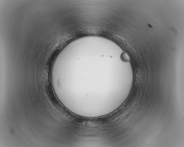 X0000111890739200908131654