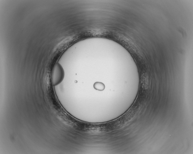 X0000111890740200908131654