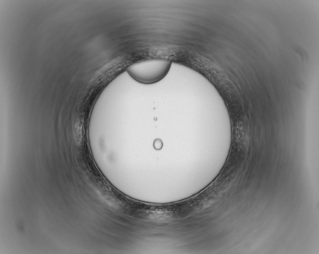 X0000111890741200908131654