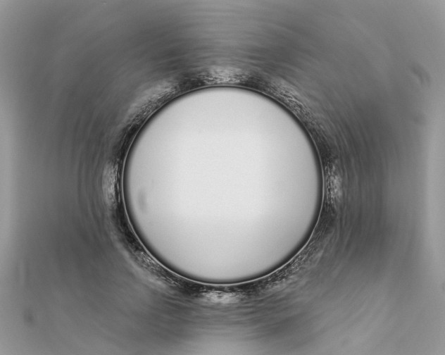 X0000111890742200908131654