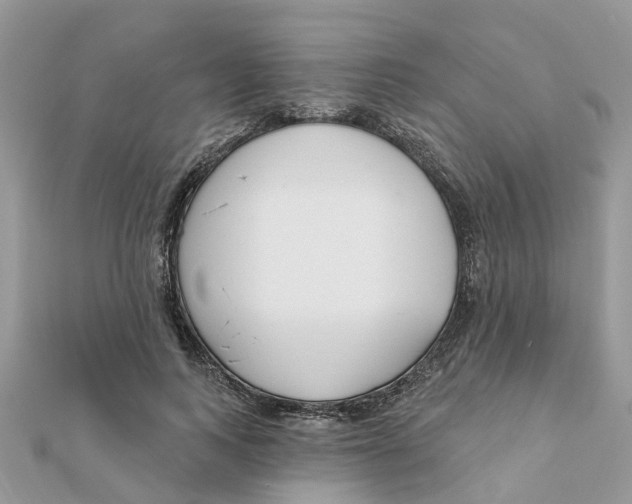 X0000111890743200908131654