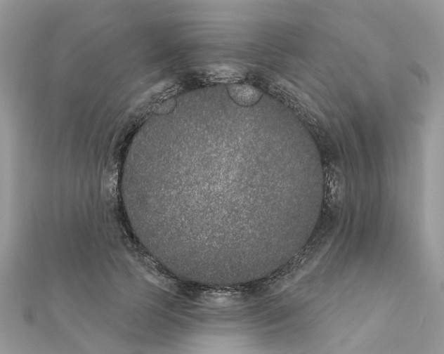 X0000111890745200908131654