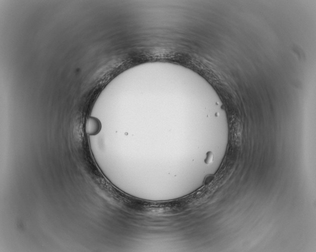 X0000111890746200908131654