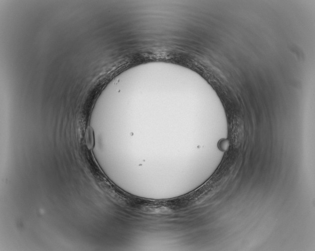 X0000111890747200908131654