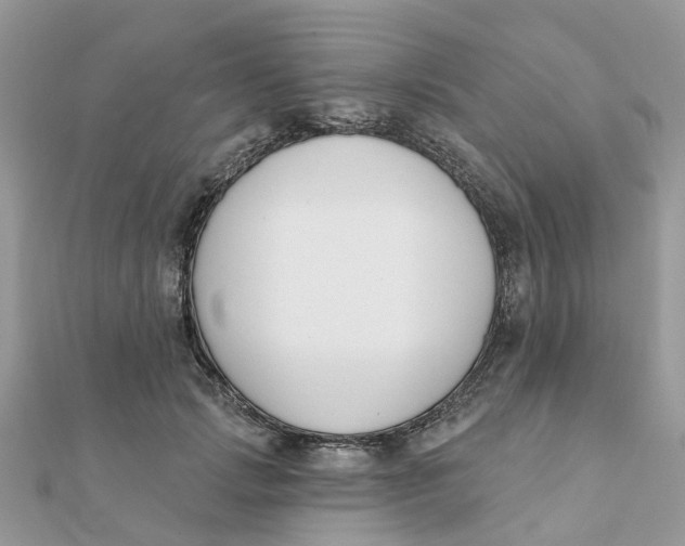 X0000111890749200908131654