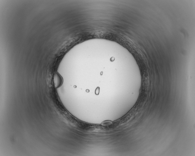 X0000111890750200908131654