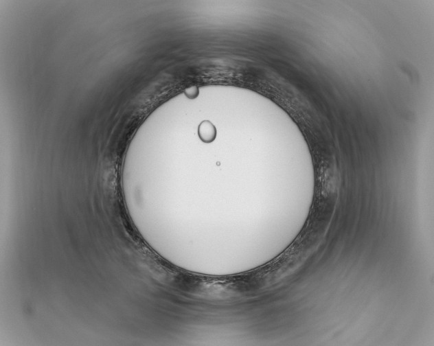 X0000111890753200908131654