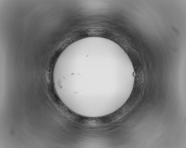 X0000111890755200908131654