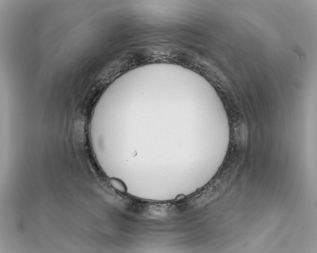 X0000111890757200908131654