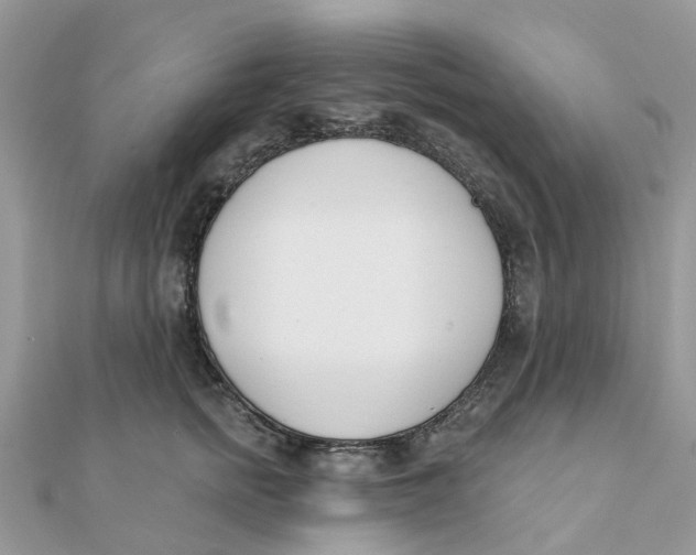 X0000111890758200908131654