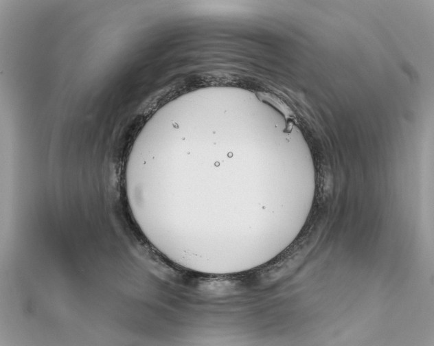 X0000111890759200908131654