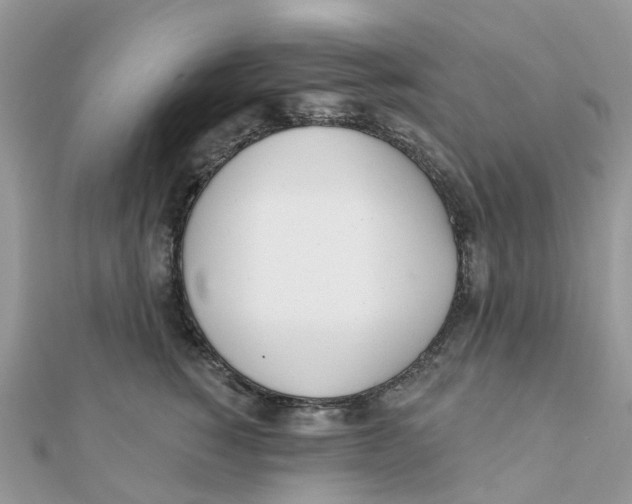 X0000111890760200908131654