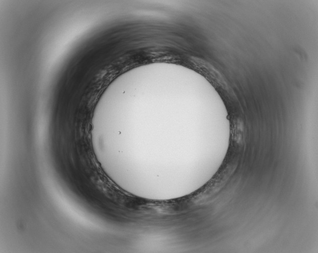 X0000111890763200908131654