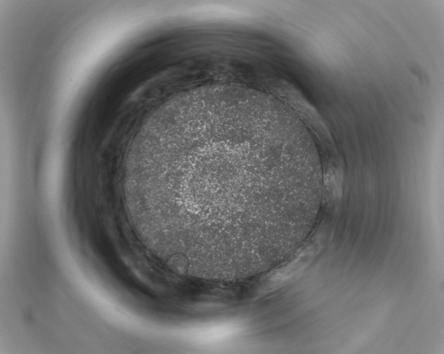 X0000111890765200908131654