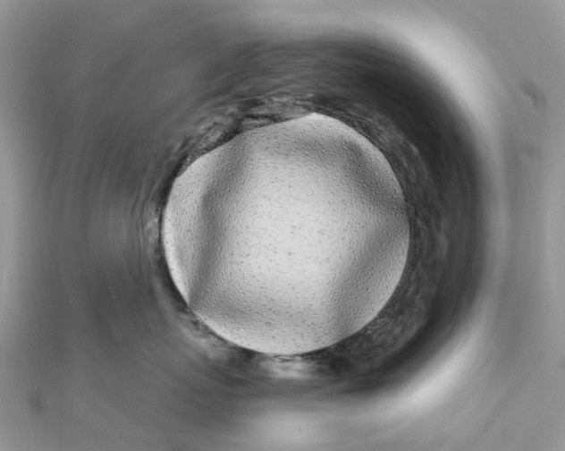 X0000111890767200908131654