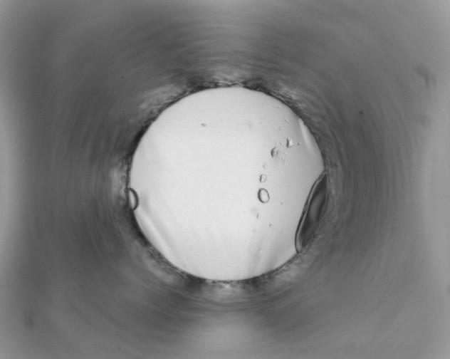 X0000111890768200908131654