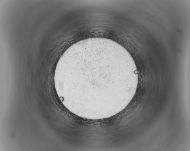 X0000111890769200908131654