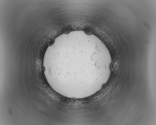 X0000111890772200908131654