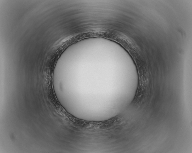 X0000111890773200908131654