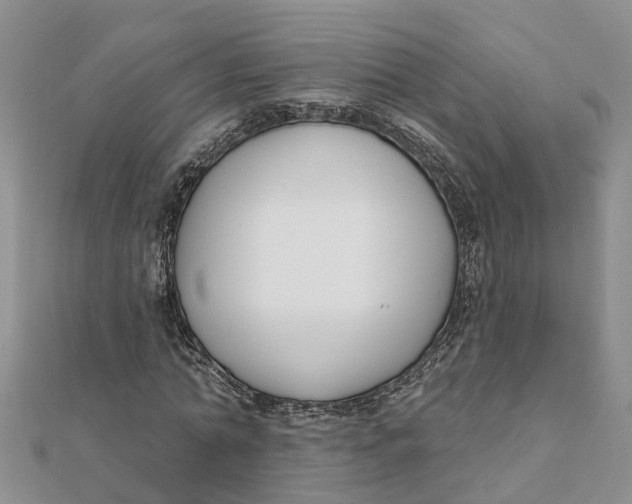 X0000111890774200908131654