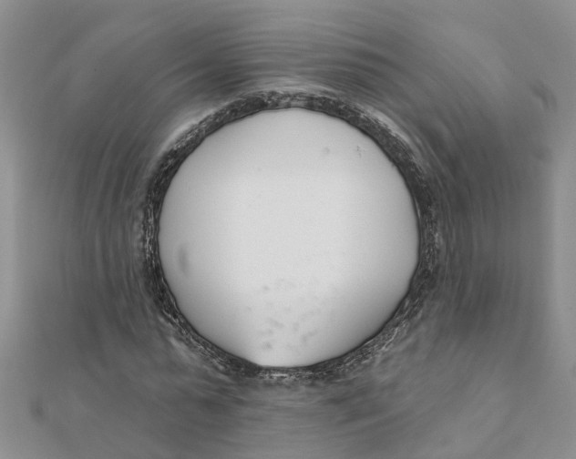 X0000111890775200908131654