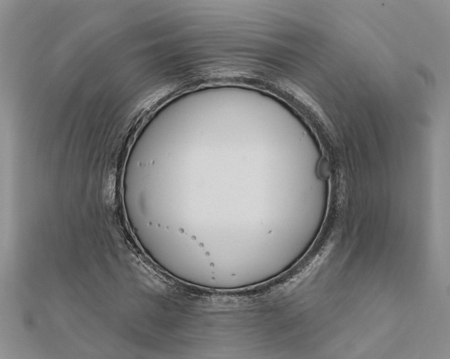 X0000111890777200908131653