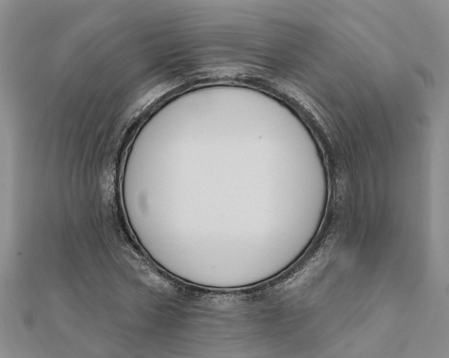 X0000111890778200908131653