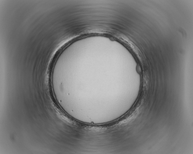 X0000111890779200908131653